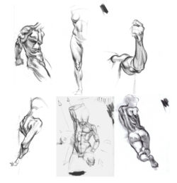 Active Anatomy: Modeling Form with Light and Tone